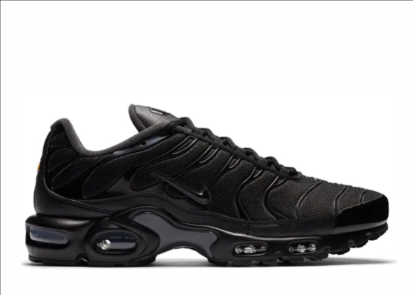 Air Max Plus 'Black Dark Smoke Grey'